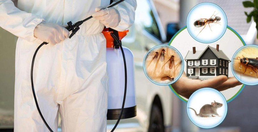 İscehisar Böcek İlaçlama