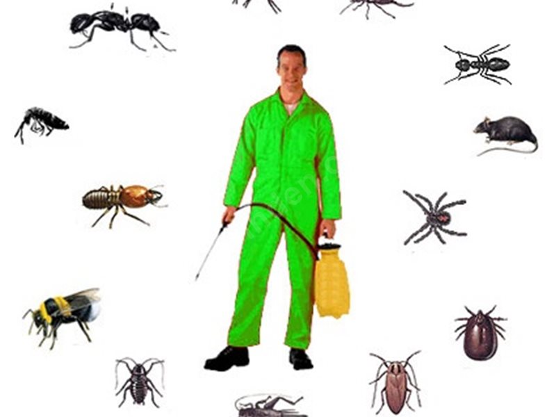 İscehisar Böcek İlaçlama